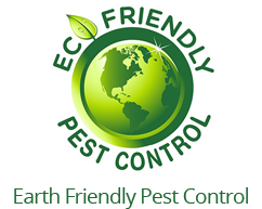 Moisture Control / Crawl Space - Envirosafe Pest Control of Orlando