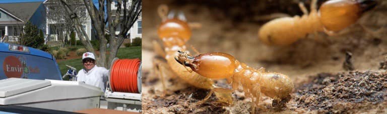 Termite Inspection Company Florida - Envirosafe Pest Control of